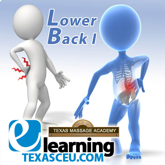 Online CE course for massage therapy - Low Back Pain 6 hour class